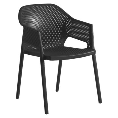 Tarrison Minush Arm Chair, Black (AS22010A)